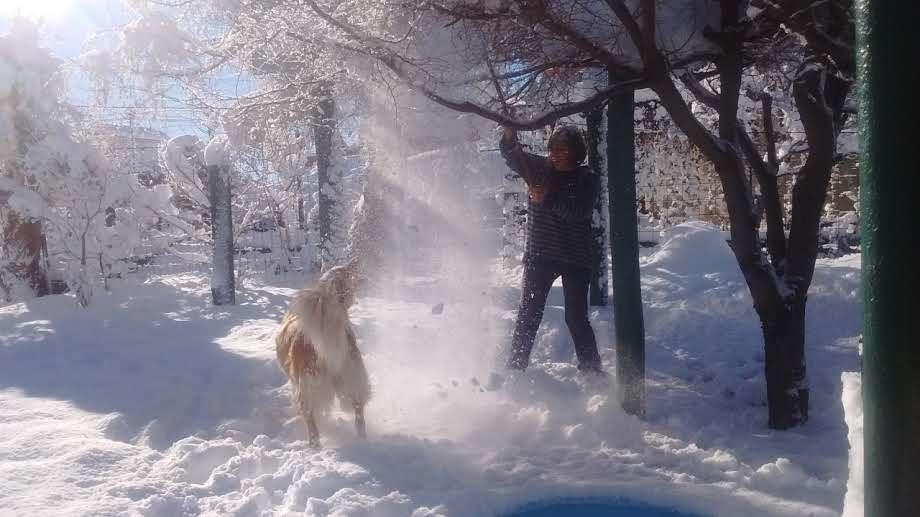 Casa Familiar Zarza Mora Leilighet San Carlos de Bariloche Eksteriør bilde